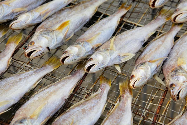 Suché soli ryb — Stock fotografie