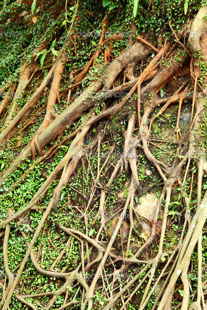 �������� � ������� - 6