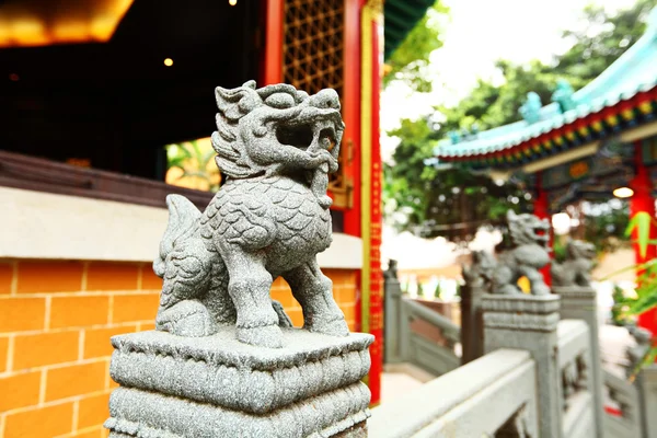 Chinese stenen leeuw — Stockfoto