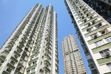 Hong kong konut