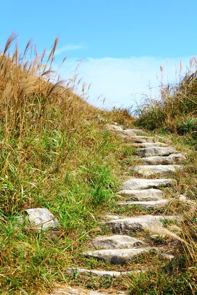 Dağ yürüyüş yolu — Stok fotoğraf