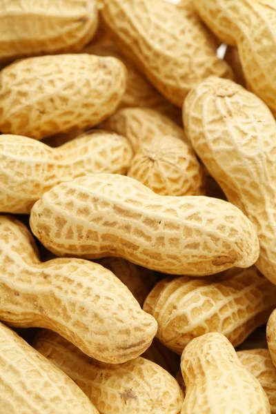 Dried peanut — Stock Photo, Image