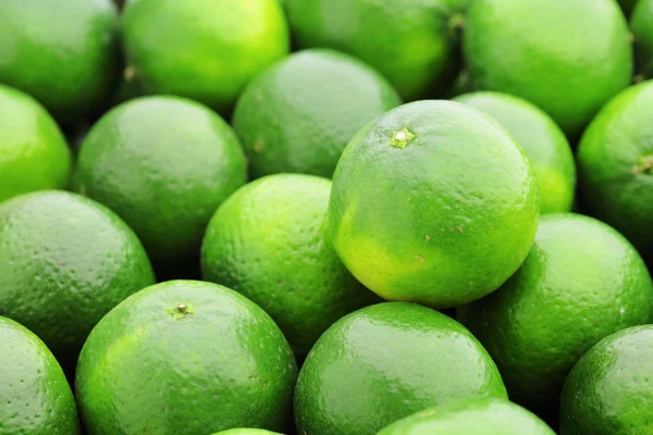 Lime citrus fruit — Stock Photo, Image