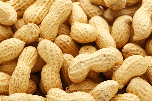 Dried peanut — Stock Photo, Image