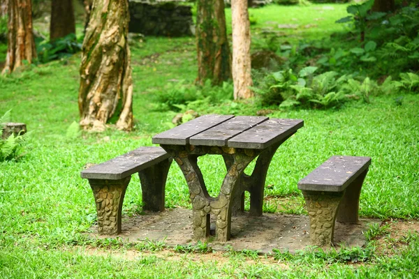 Miejsce piknik w lesie — Zdjęcie stockowe