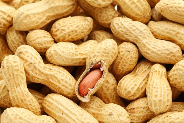 Peanut — Stock Photo, Image