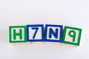 h7n9 alfabesi oyuncak blok