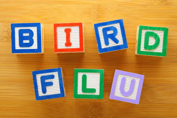 H7N9 bird flu toy block — Stock Photo, Image