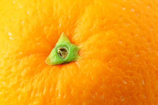 Sinaasappelschil close-up — Stockfoto