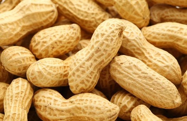 Peanut — Stock Photo, Image