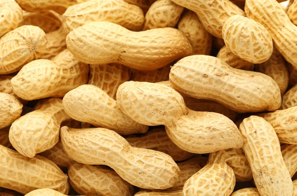 Peanut — Stock Photo, Image