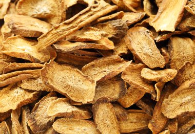 bitkisel, Kuru dulavratotu kökü