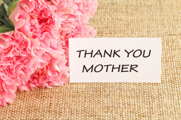 आईच्या दिवशी गुलाबी कार्नेशन्स फूल — स्टॉक फोटो, इमेज