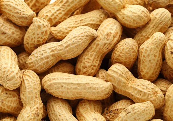 Peanut — Stock Photo, Image