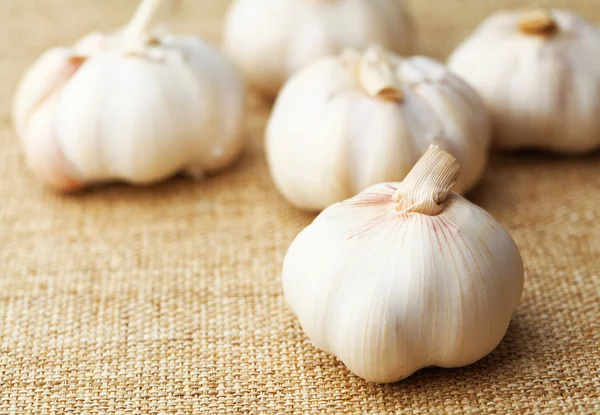 Garlic — Stock Photo, Image