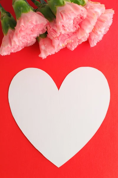 Ρόδινο γαρίφαλο με μήνυμα αγάπη ημέρα της μητέρας — Φωτογραφία Αρχείου