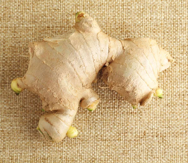 Ginger close up — Stock Photo, Image