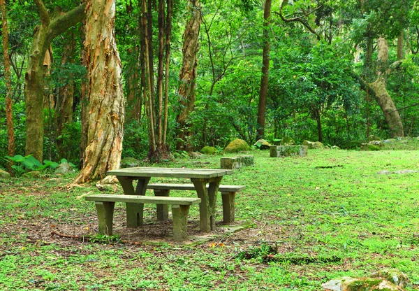 Место для пикника в лесу — стоковое фото