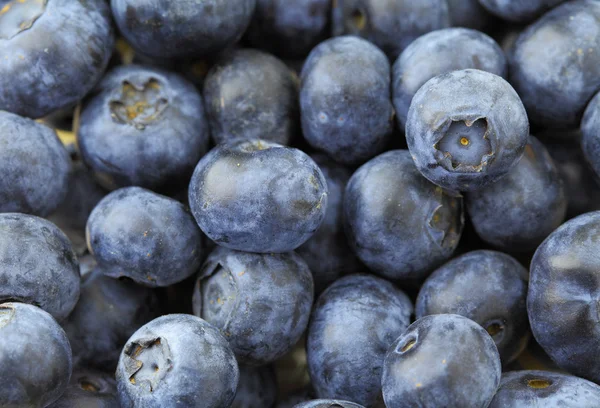 Blueberry — Stock Photo, Image