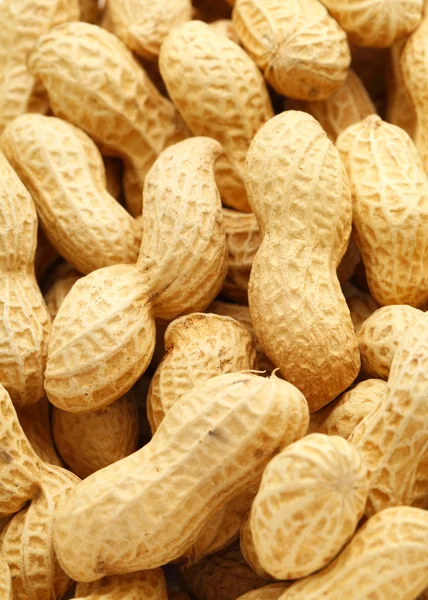 Peanut — Stock Photo, Image