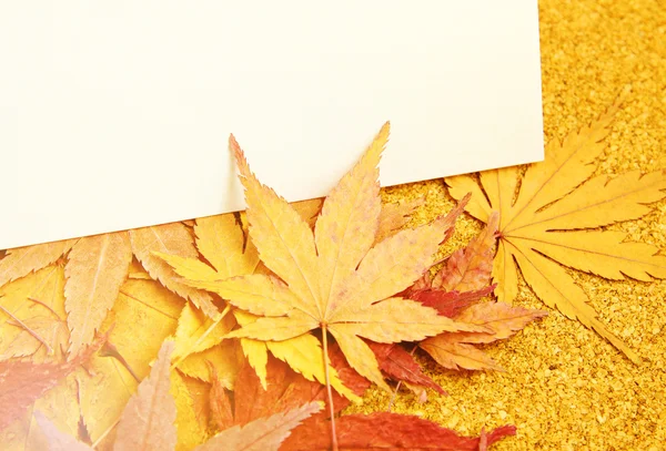 Greeting card with maple — Stock Photo, Image