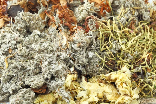 Chinese herbal tea ingredients — Stock Photo, Image