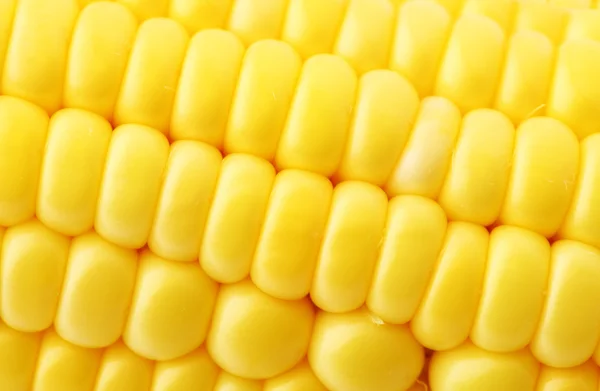 Corn close up — Stock Photo, Image