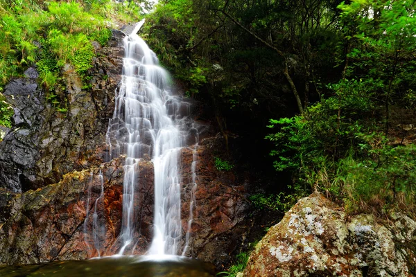 Waterval in bos — Stockfoto