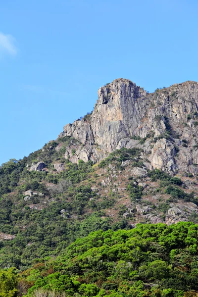 Hong Kong 'daki Lion Rock Dağı. — Stok fotoğraf