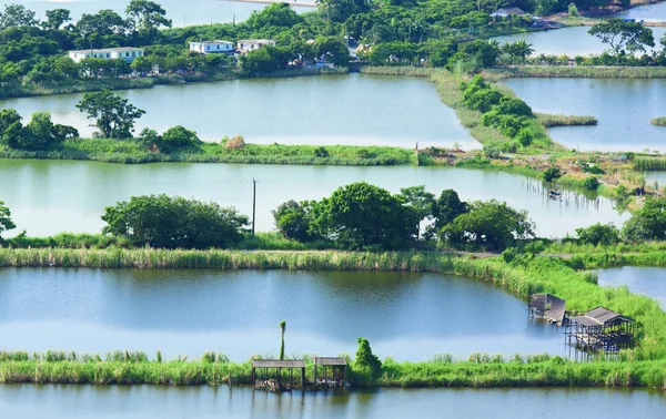 Lagoa do incubatório de peixes — Fotografia de Stock