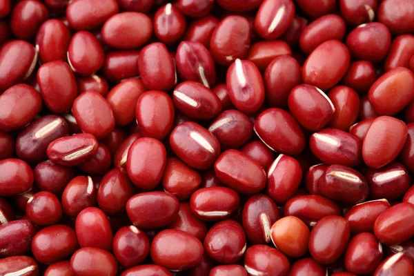 Červené fazole fazole adzuki pozadí — Stock fotografie