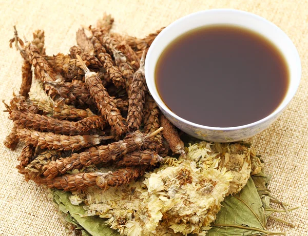 Medicina herbal china con ingrediente — Foto de Stock