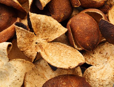 kurumuş mandalina kabuğu