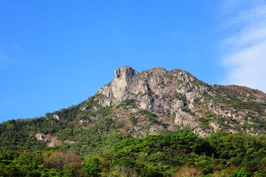 Aslan kaya hong Kong