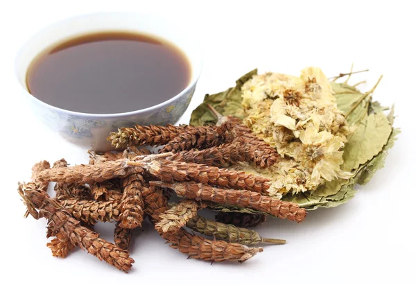 Chinese herbal medicine with ingredient — Stock Photo, Image