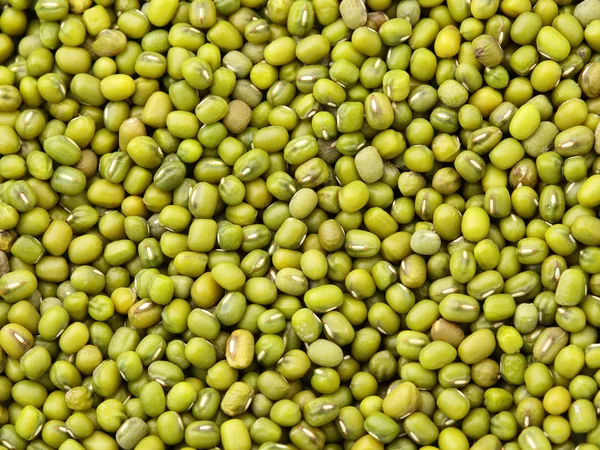 Mung bean achtergrond — Stockfoto