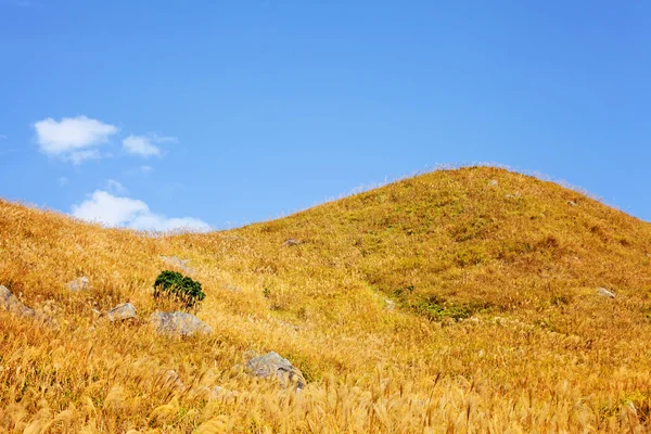 Montagne d'automne — Photo