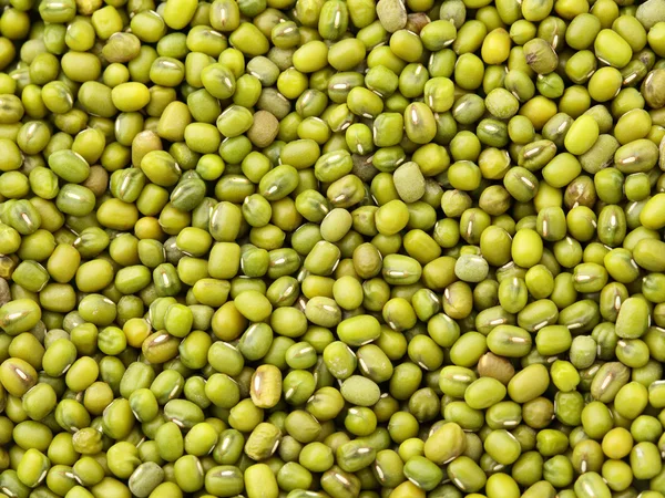 Mung bean background Stock Picture
