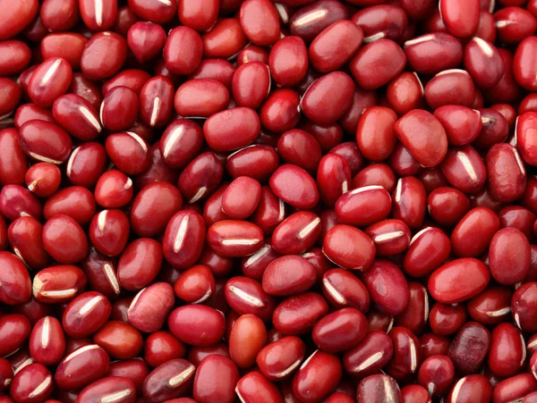 Červené fazole Adzuki fazole zblízka — Stock fotografie