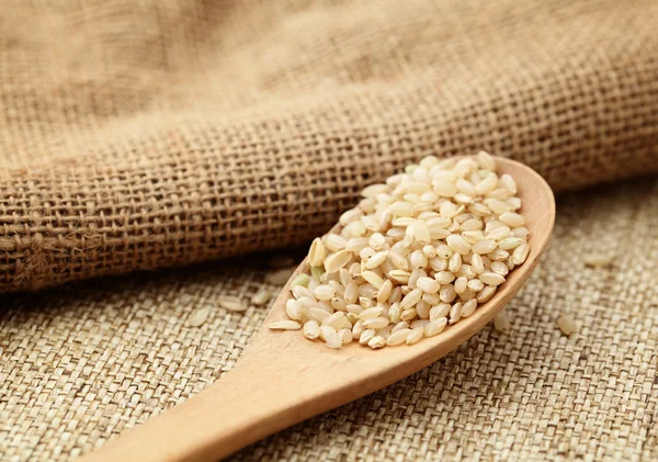Uncooked rice on spoon — Stock Photo, Image