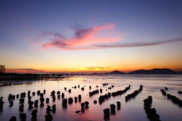 Costa del atardecer —  Fotos de Stock