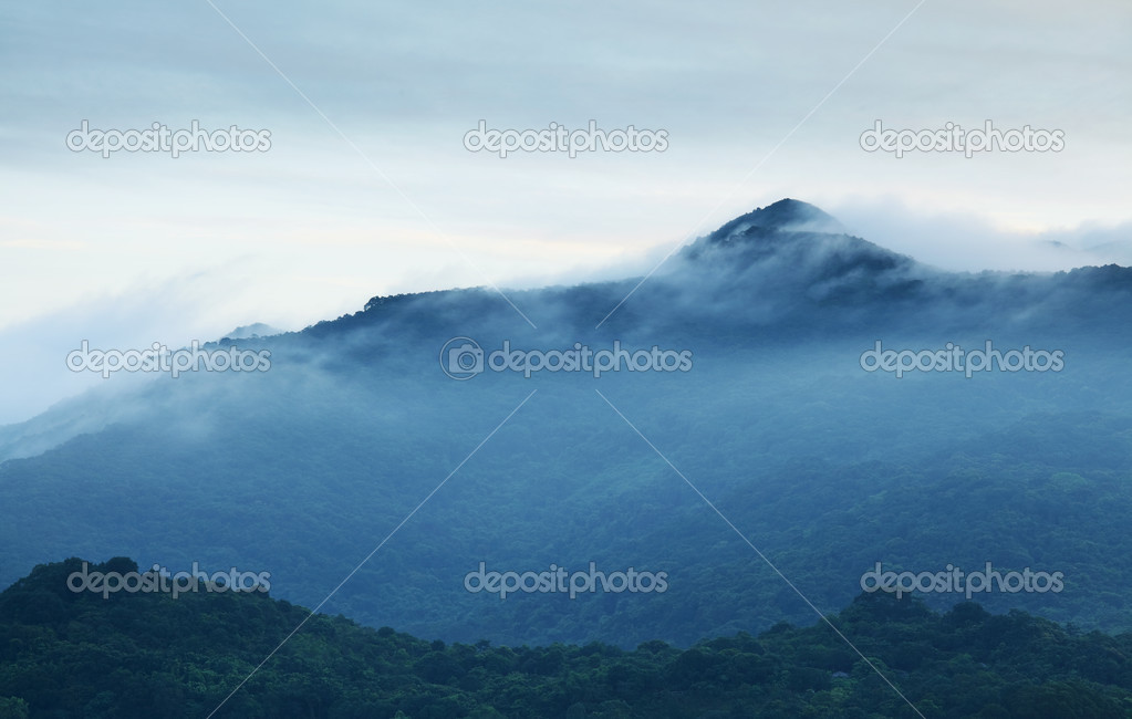 Morning mist mountain