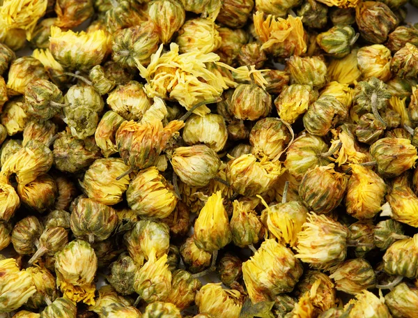 Dried chamomile tea — Stock Photo, Image
