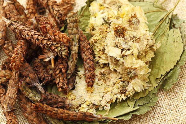 Medicina chinesa ingredientes de chá de ervas — Fotografia de Stock