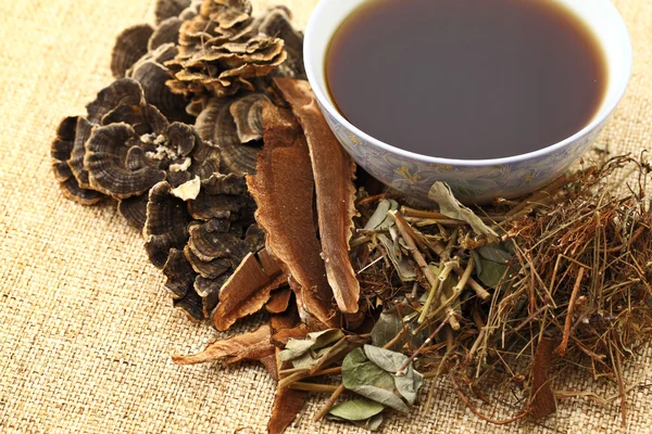 Medicina herbal china con ingrediente — Foto de Stock