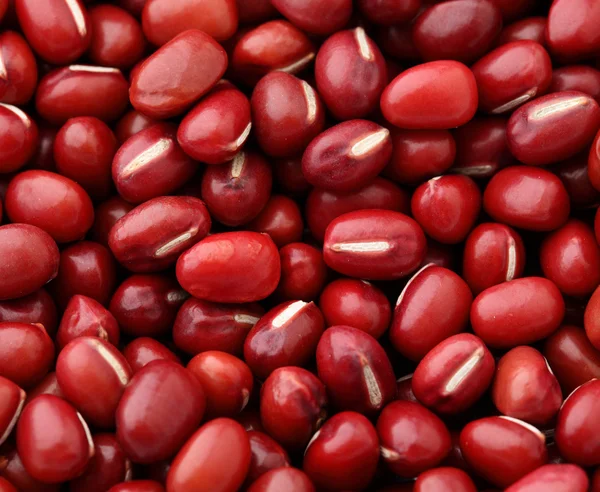 红色小豆 — 图库照片