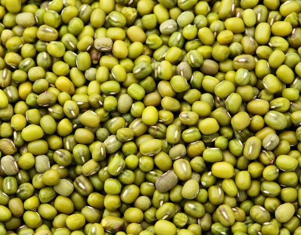 Mung green bean — Stockfoto