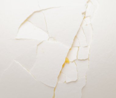 kırık beyaz yumurta yakın çekim