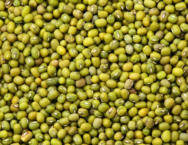 Mung bean close up — Stock Photo, Image