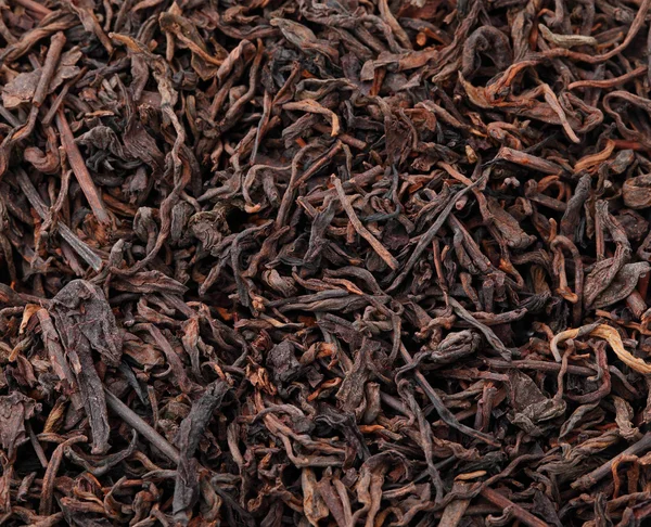 Китайський чорний чай — стокове фото